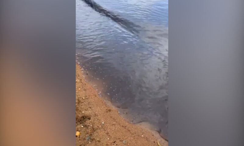 Власти Геленджика объяснили, почему потемнела морская вода у пляжа «Спортивного»