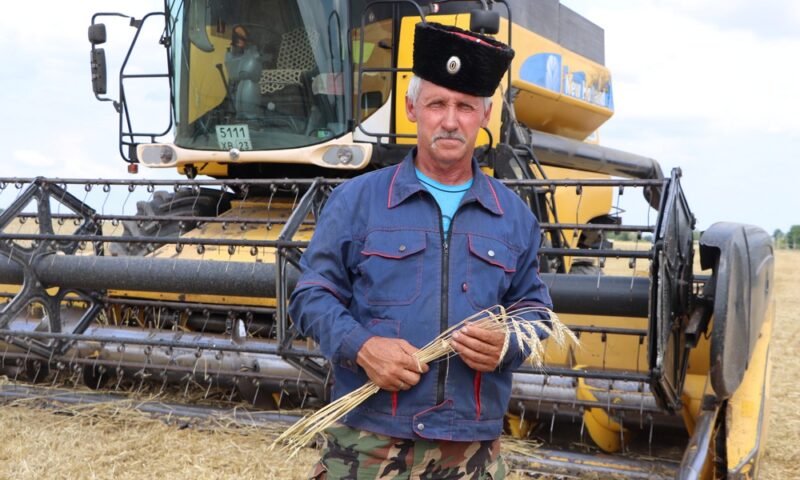 Около 32 тыс. га сельхозземель выделили казачьим обществам в Краснодарском крае