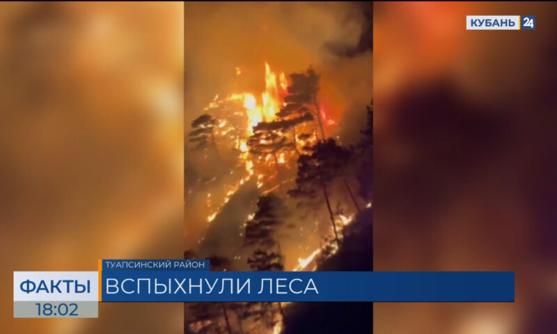 На Кубани во время двух пожаров огонь уничтожил более 8 гектаров леса