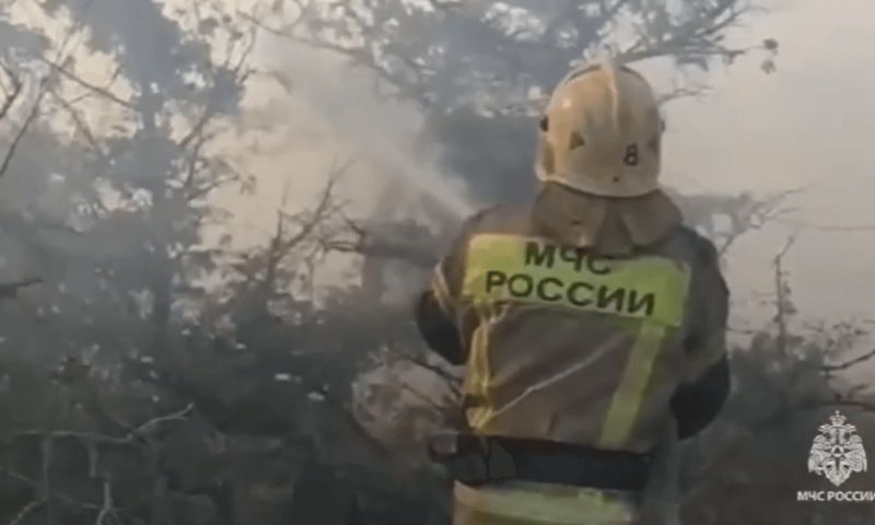 Из-за сильного ветра пожара под Новороссийском распространился на 28 гектаров