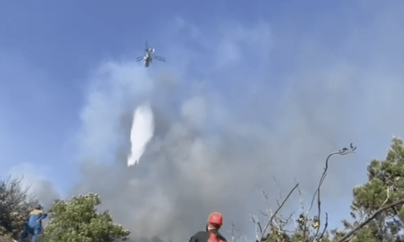 Огонь распространяется: площадь лесного пожара под Новороссийском — 32 гектара
