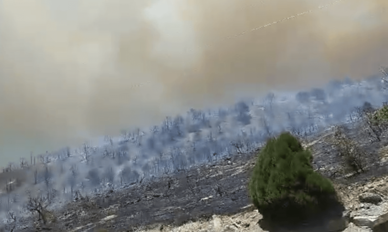 До 47 гектаров выросла площадь лесного пожара под Новороссийском