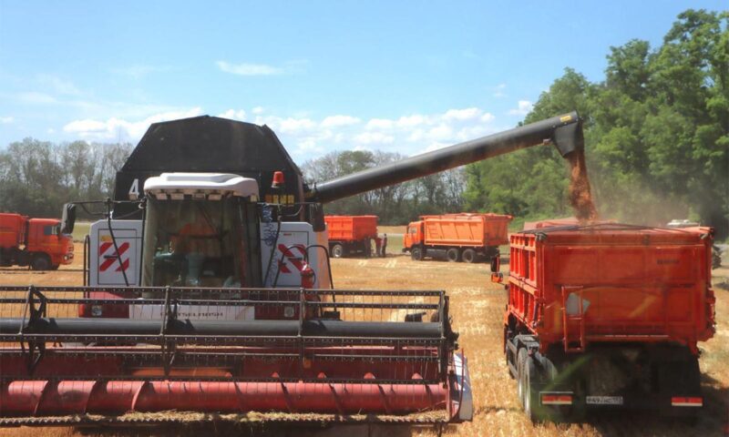Кондратьев: в Краснодарском крае завершили уборку озимых зерновых культур