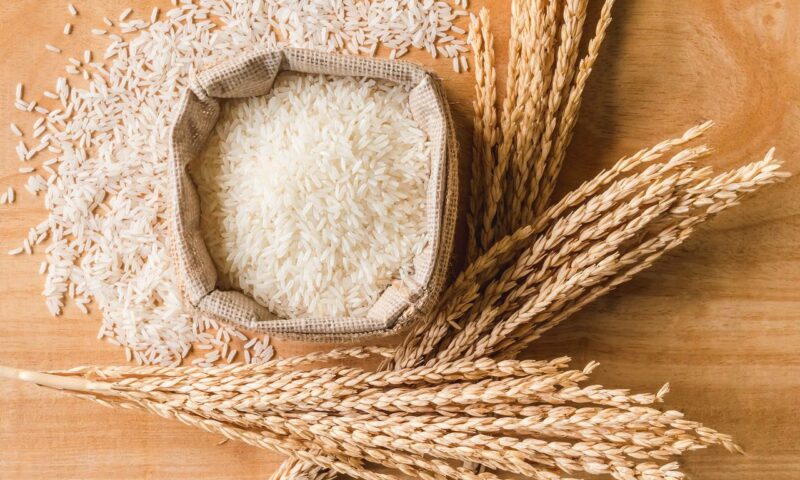 В России запретили вывоз риса до конца 2024 года