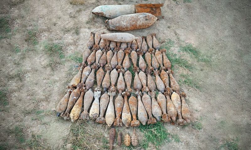 Более 60 боеприпасов нашли в плодовом саду под Новороссийском