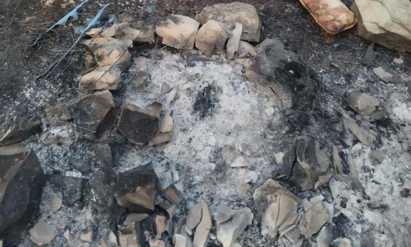 В Геленджике нашли костровище, с которого начался лесной пожар площадью 2 га