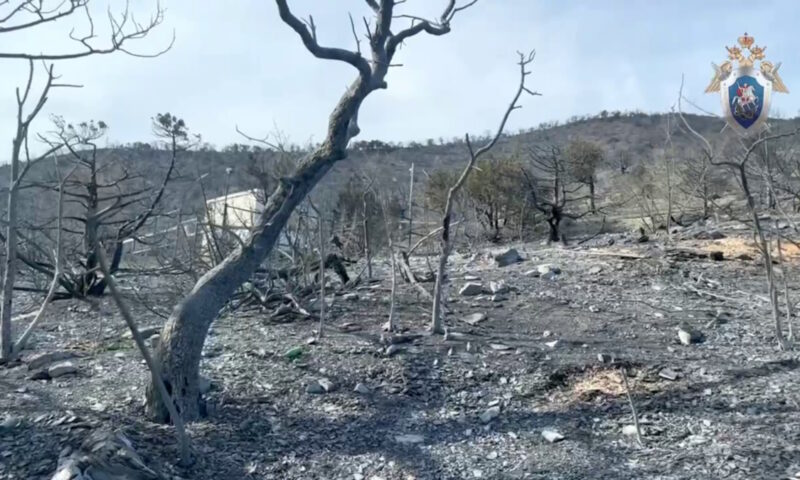 Уголовное дело о халатности возбуждено в связи с лесным пожаром в Новороссийске