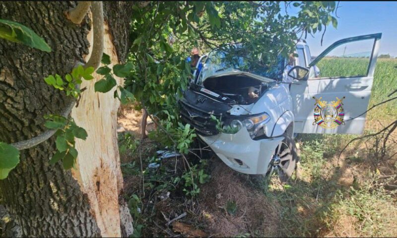 В Павловском районе УАЗ врезался в дерево, один человек погиб