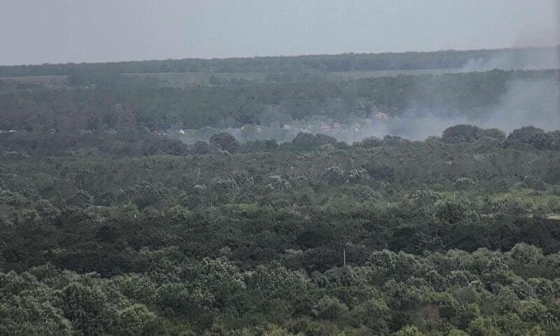 Два лесных пожара в Северском районе локализовали