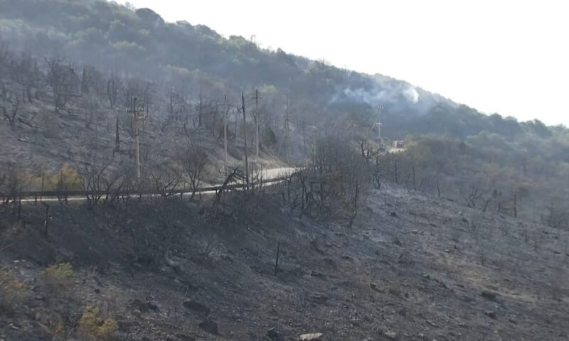 Лесной пожар под Новороссийском: с огнем борются более 300 человек