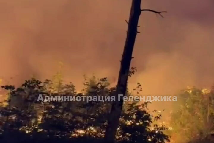 Лесной пожар в Геленджике локализовали на площади около 2 га