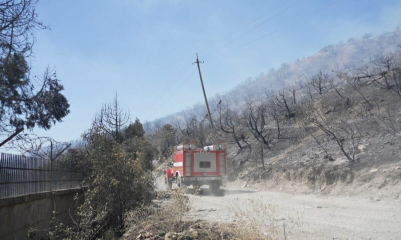С начала года 30 лесных пожаров произошло на Кубани. «Факты»