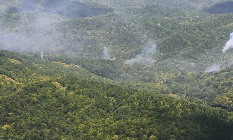 Площадь тлеющих очагов лесного пожара в Туапсинском районе достигла 1,5 га