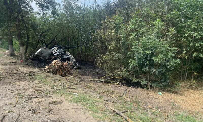Легковушка врезалась в дерево и загорелась в Краснодарском крае, водитель погиб