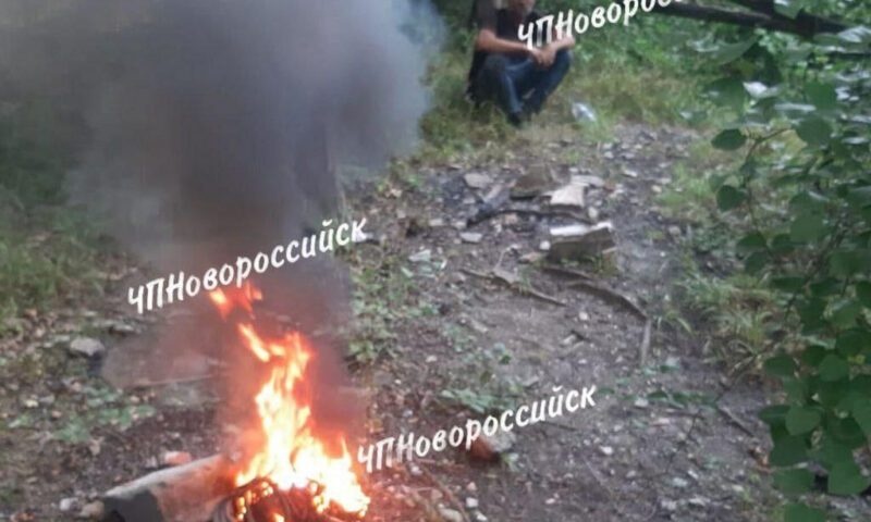 Бездомного задержали за обжиг проводов в лесу под Новороссийском