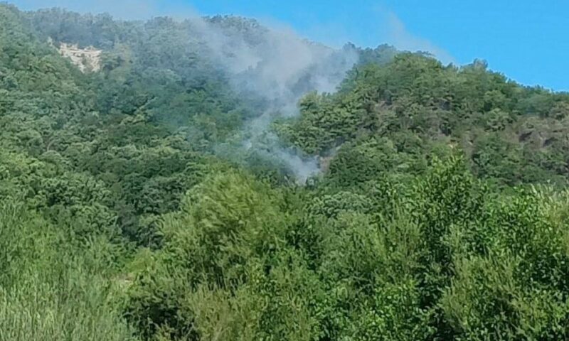 Площадь лесного пожара в районе поселка Псебе выросла до 4,5 гектаров