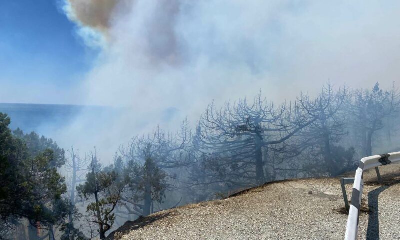 Прокуратура взяла под контроль тушение лесного пожара в Абрау Дюрсо