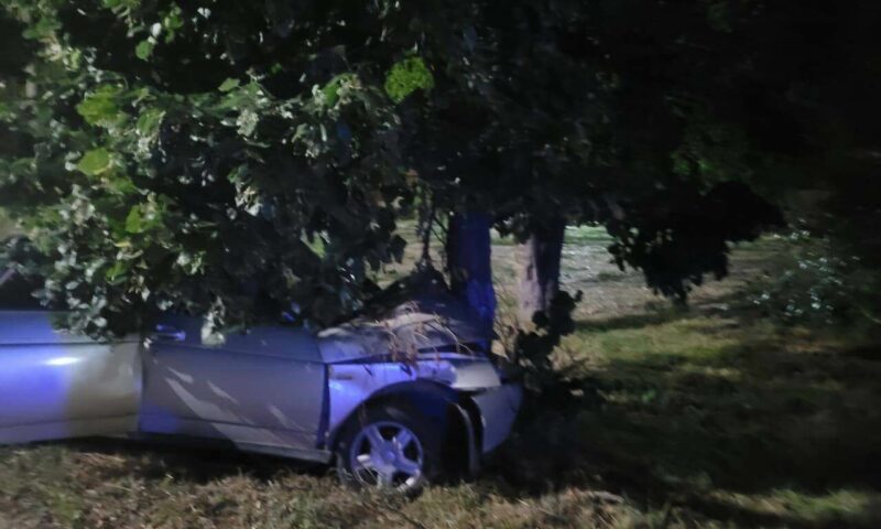 В Армавире легковушка влетела в дерево, погиб водитель и пострадал ребенок