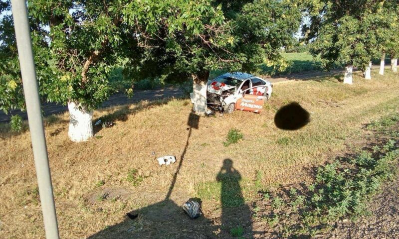 Легковушка вылетела с дороги и врезалась в дерево на Кубани, водитель погиб