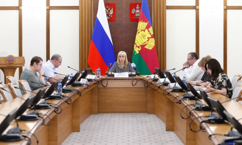 Вице-губернатор Кубани Анна Минькова провела селектор по социальным вопросам