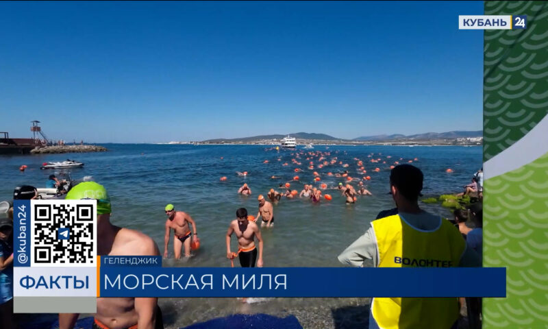 Рекордное число пловцов приняли участие в «Морской миле» в Геленджике