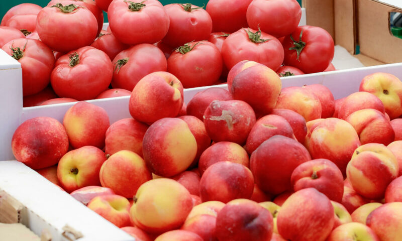 Персики и яблоки нового урожая привезли на ярмарки выходного дня в Краснодаре