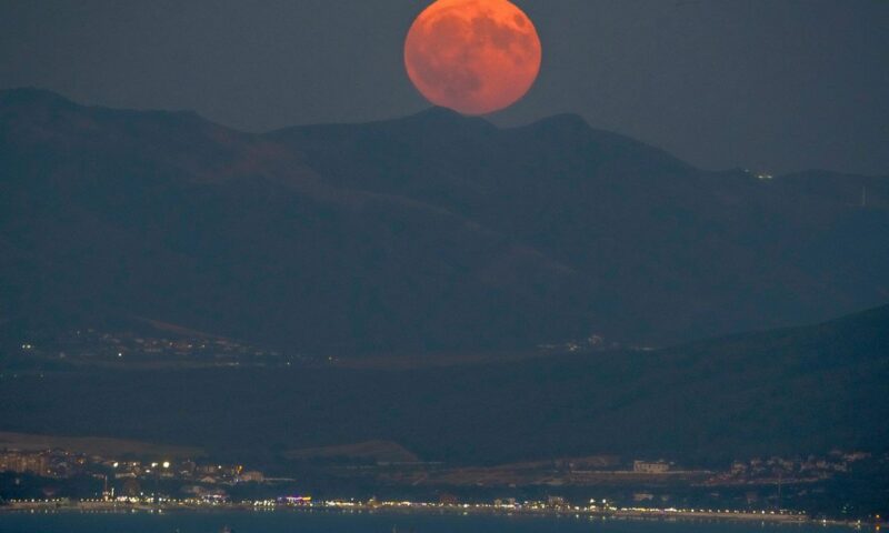 «Осетровая Луна» взошла над Краснодарским краем