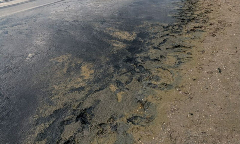 Туристы пожаловались на «гнилую жижу» в море в Анапе