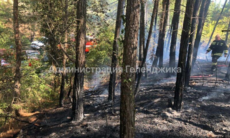 Лес загорелся в районе знаменитой Голубой Бездны в Геленджике