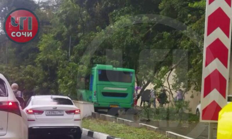 Дерево рухнуло на движущийся автобус в Сочи