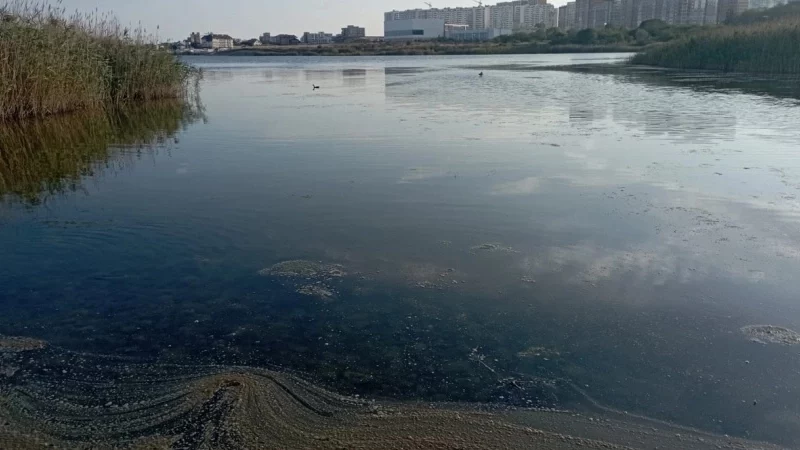 В Новороссийске Суджукская лагуна покрылась грязной пленкой из-за прорана