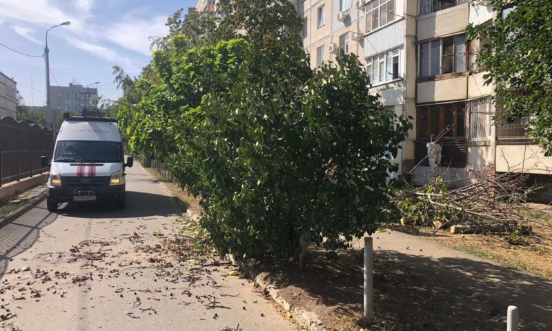 Дерево рухнуло на автомобиль из-за ураганного ветра в Краснодаре