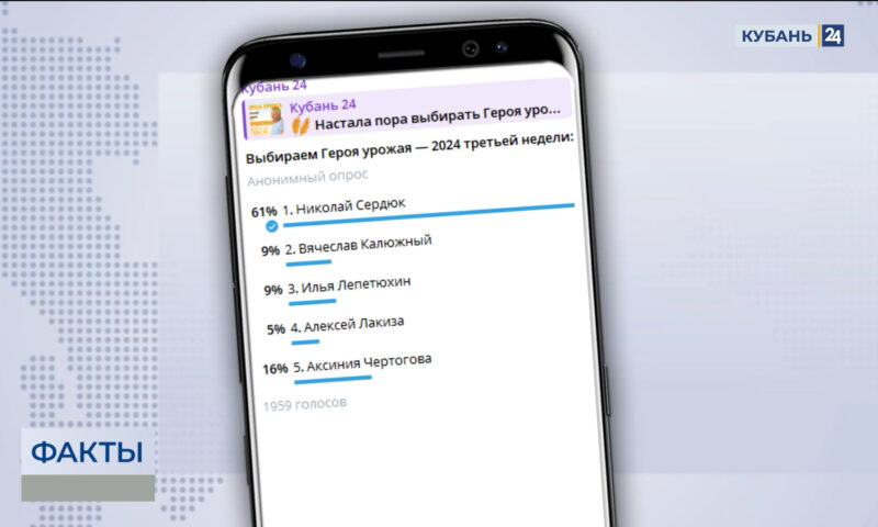 Пять кандидатов на звание «Героя урожая» представил Telegram-канал «Кубань 24»