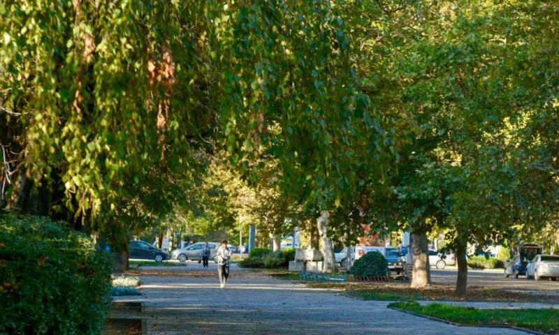 Участок набережной благоустроили в Славянске-на-Кубани по нацпроекту