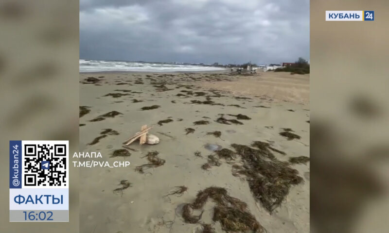 Центральный пляж Анапы море завалило водорослями и медузами