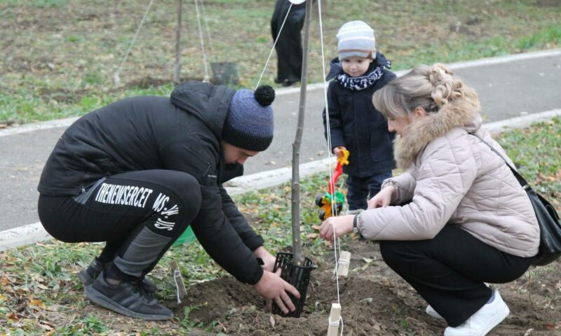 Новую аллею из 40 молодых лип заложили в Армавире в рамках акции «Сохраним лес»