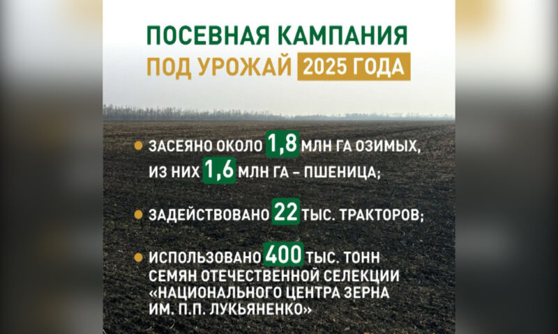 Аграрии Кубани завершили посевную кампанию под урожай 2025 года