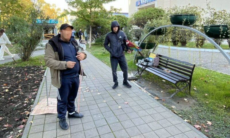 Пристававших к прохожим фотографов с животными оштрафовали в Сочи