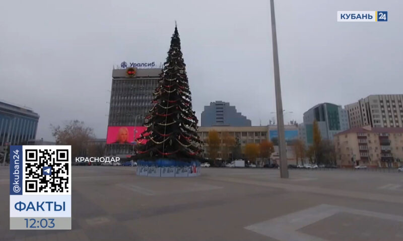 Главную городскую елку в центре Краснодара украсят к 6 декабря