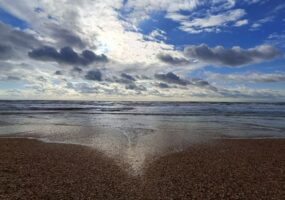 Власти опровергли сообщения о новых выбросах мазута на пляжах Анапы