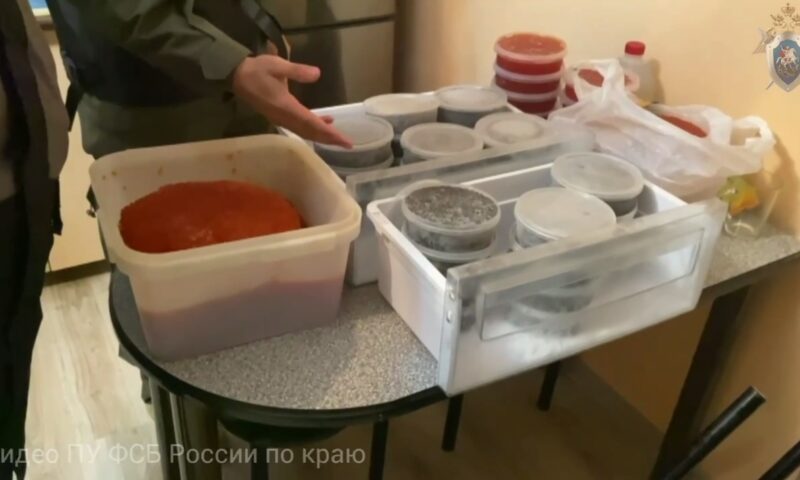 Почти 100 кг красной и черной икры изъяли у двоих перекупщиков в Новороссийске