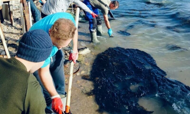 Мазут с затонувшего танкера выбросило на берег в районе Керчи