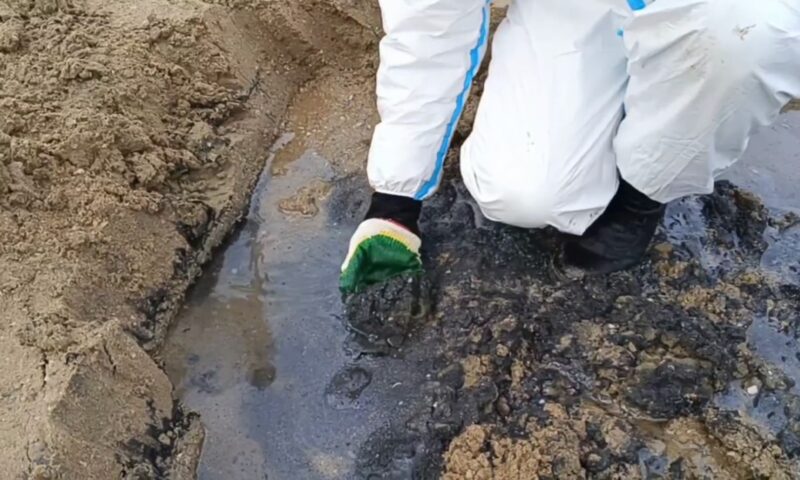 Власти Кубани опровергли фейк о просочившемся на 1,5 м в песок мазуте в Анапе