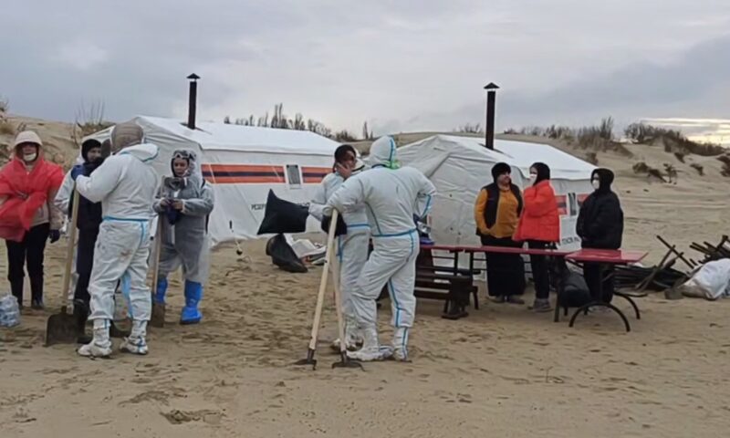 В оперштабе Кубани подробно рассказали, как побережье очищают от мазута