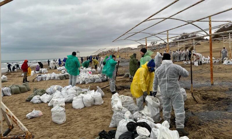 Семь основных участков для сбора мазута определили на пляжах Анапы 24 декабря