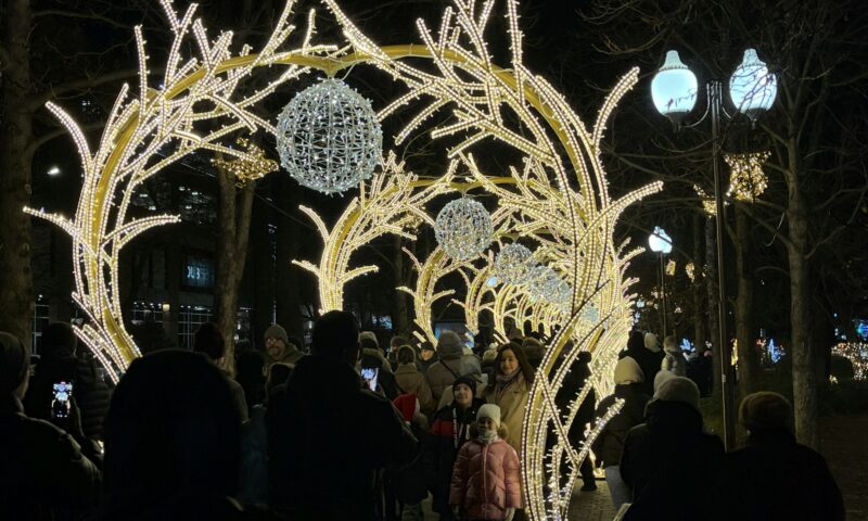 Мэр Краснодара призвал не ломать иллюминацию и «не седлать животных» на Красной