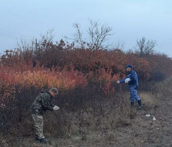 Оральную иммунизацию диких хищников от бешенства провели в пригороде Краснодара