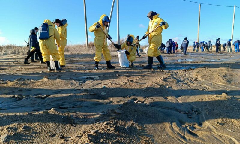 Центральный пляж Веселовки на Кубани полностью очистили от мазута