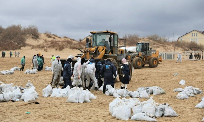 МЧС: в Краснодарском крае от мазута очистили 40 км береговой линии