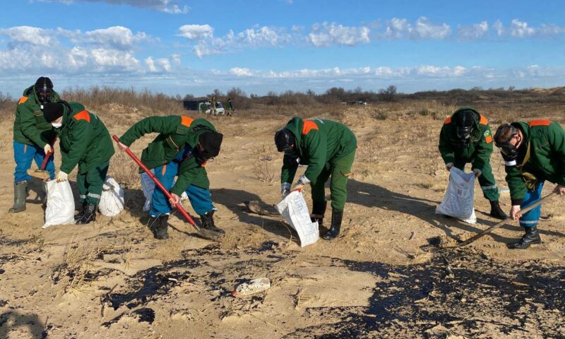 В парке «Анапская пересыпь» от мазута очистили более 38 гектаров